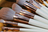 Harmony Brush Set