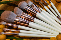 Harmony Brush Set